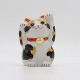 Banzai Calico Cat